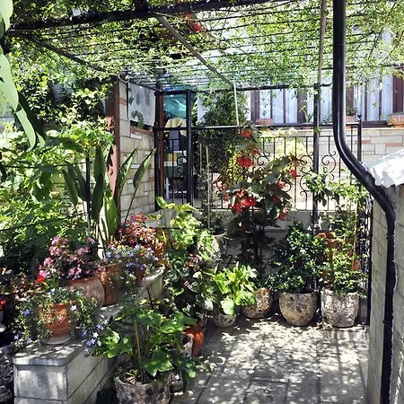 Chrissomalli Sofia Skiatos