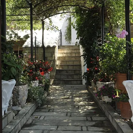 Chrissomalli Sofia アパート スキアトスタウン